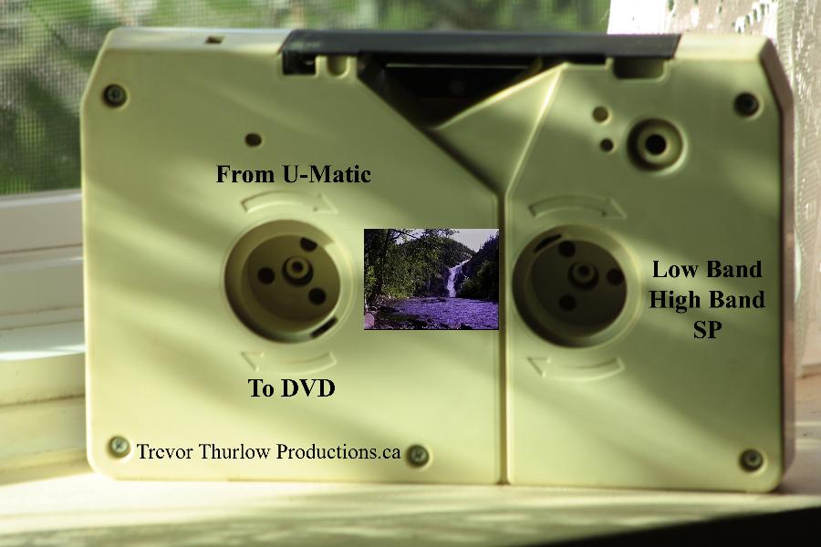 3/4" UMatic SP To USB And DVD Transfer Conversion Service